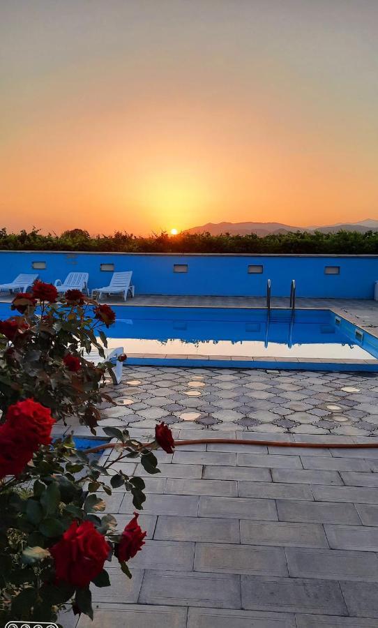 Shaloshvili'S Cellar Hotel Shilda Exteriér fotografie
